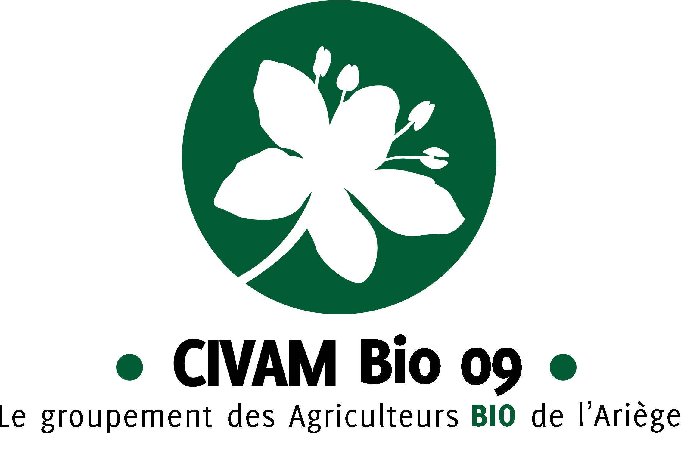 Cliquez ici pour retourner sur la page d'accueil