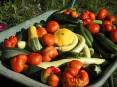 multilegumes guerrat 09 sm