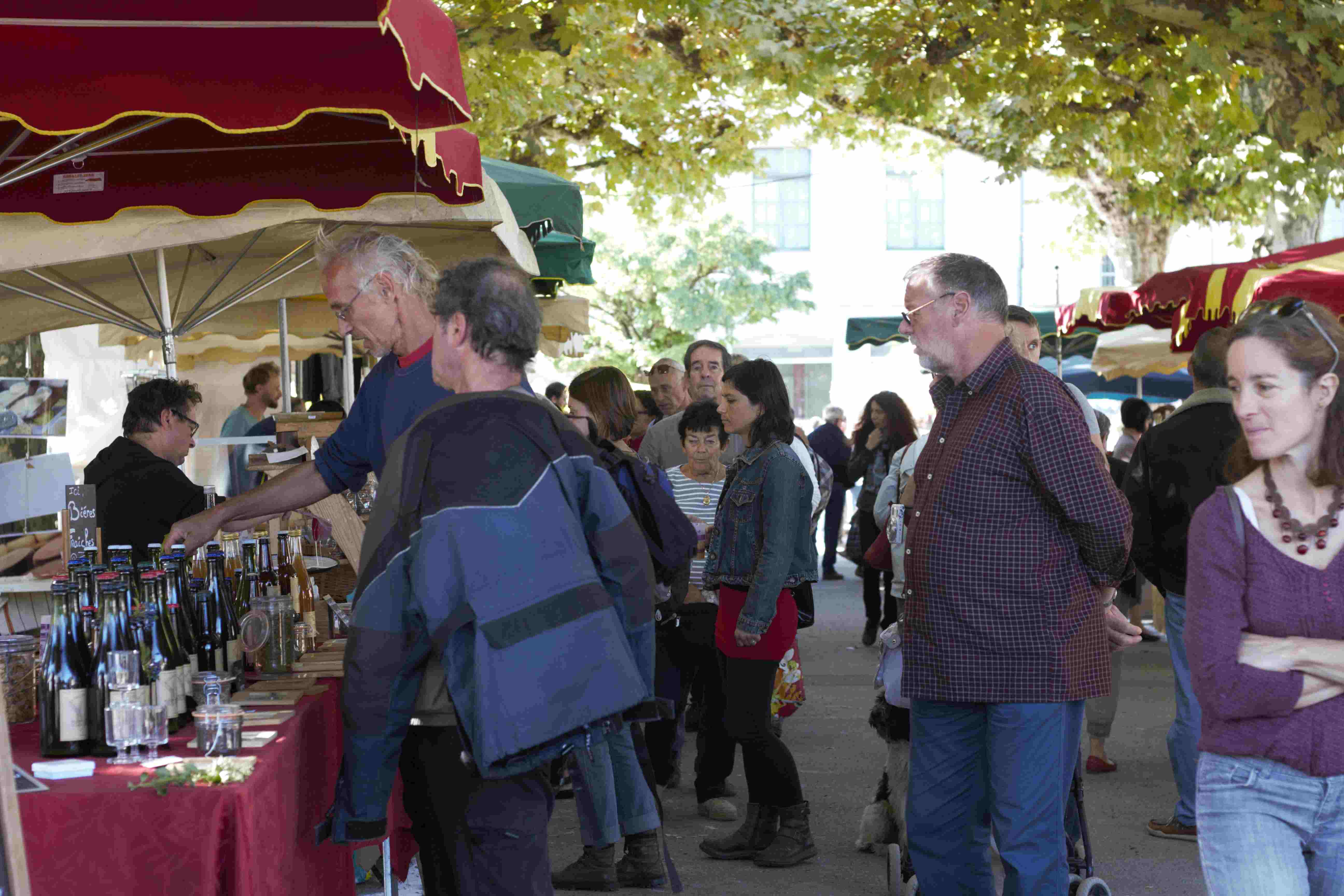  MG 1547 2 ConvertImage