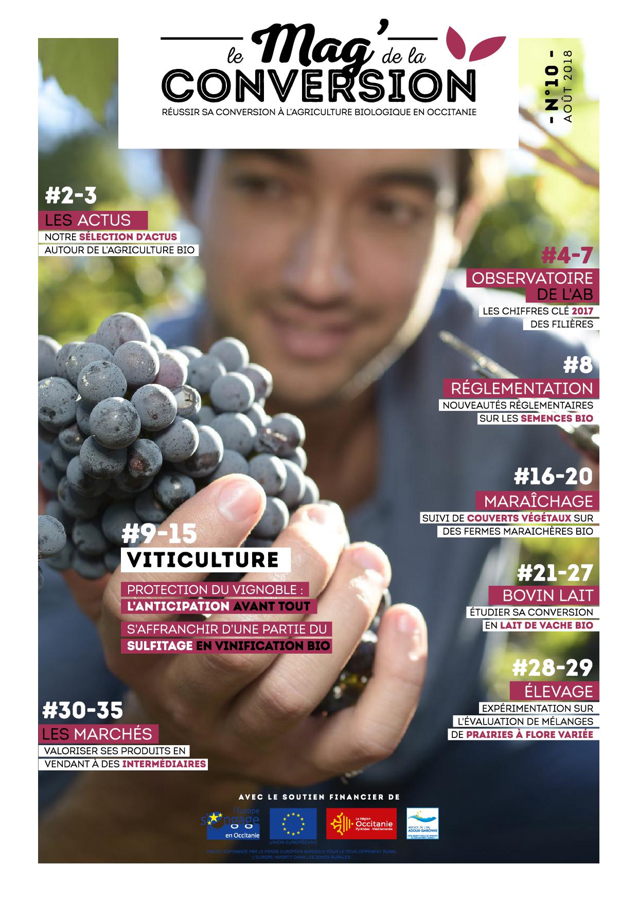 Mag de la conversion 10