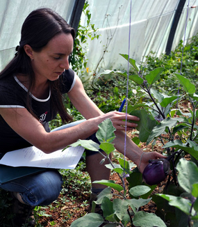 Delphine DA COSTA Chargée de mission organisation de la Foire